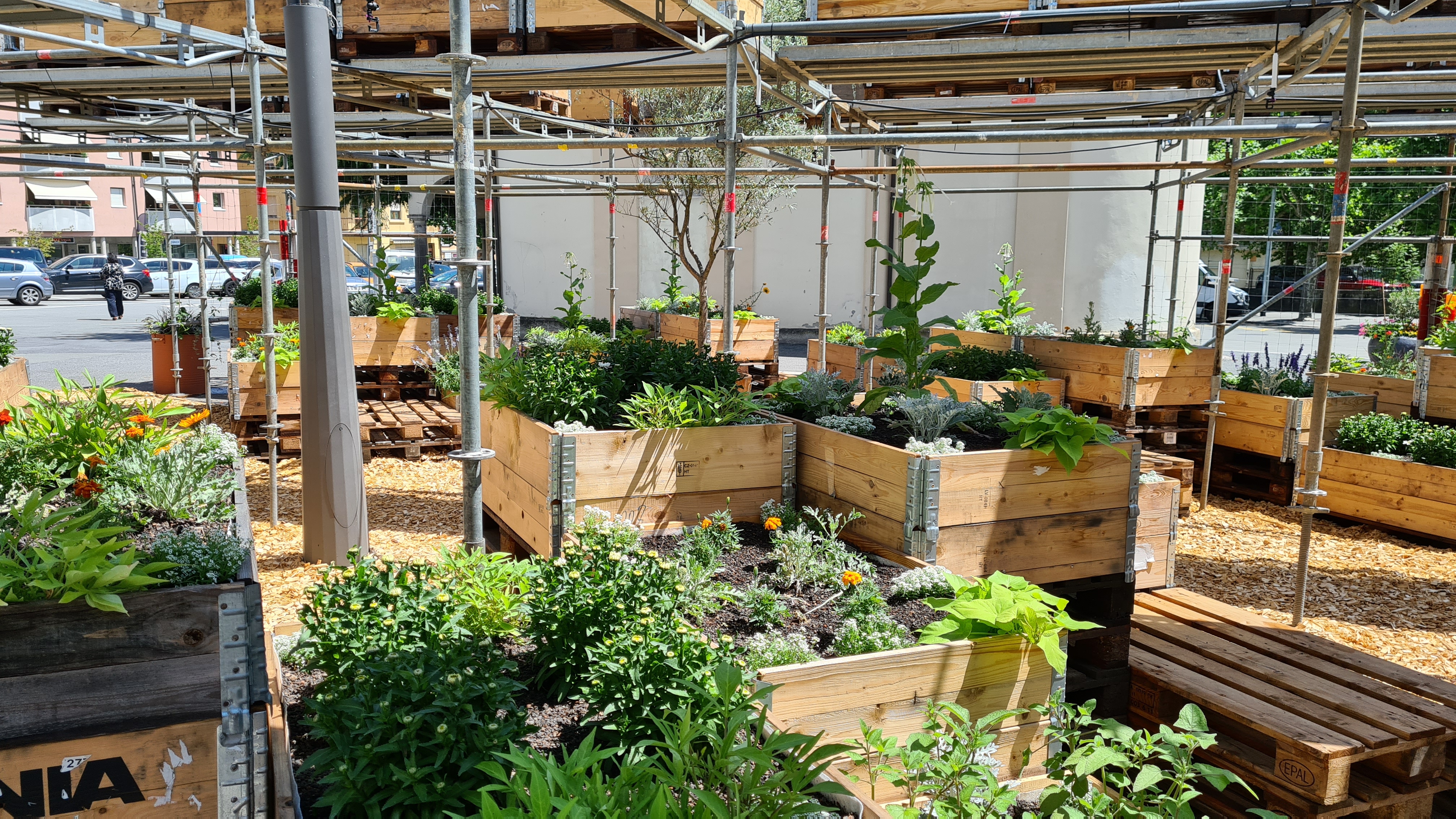 Monthey inaugure son jardin éphémère